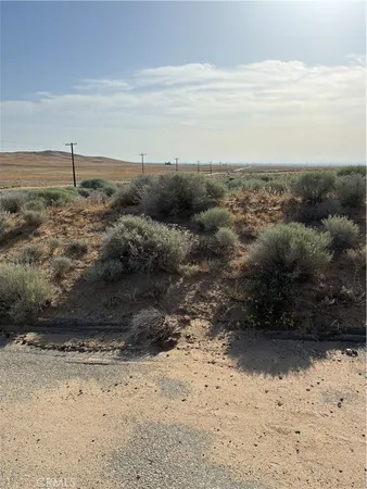 $10,000 | 0 Cholla, Adelanto, CA 92301