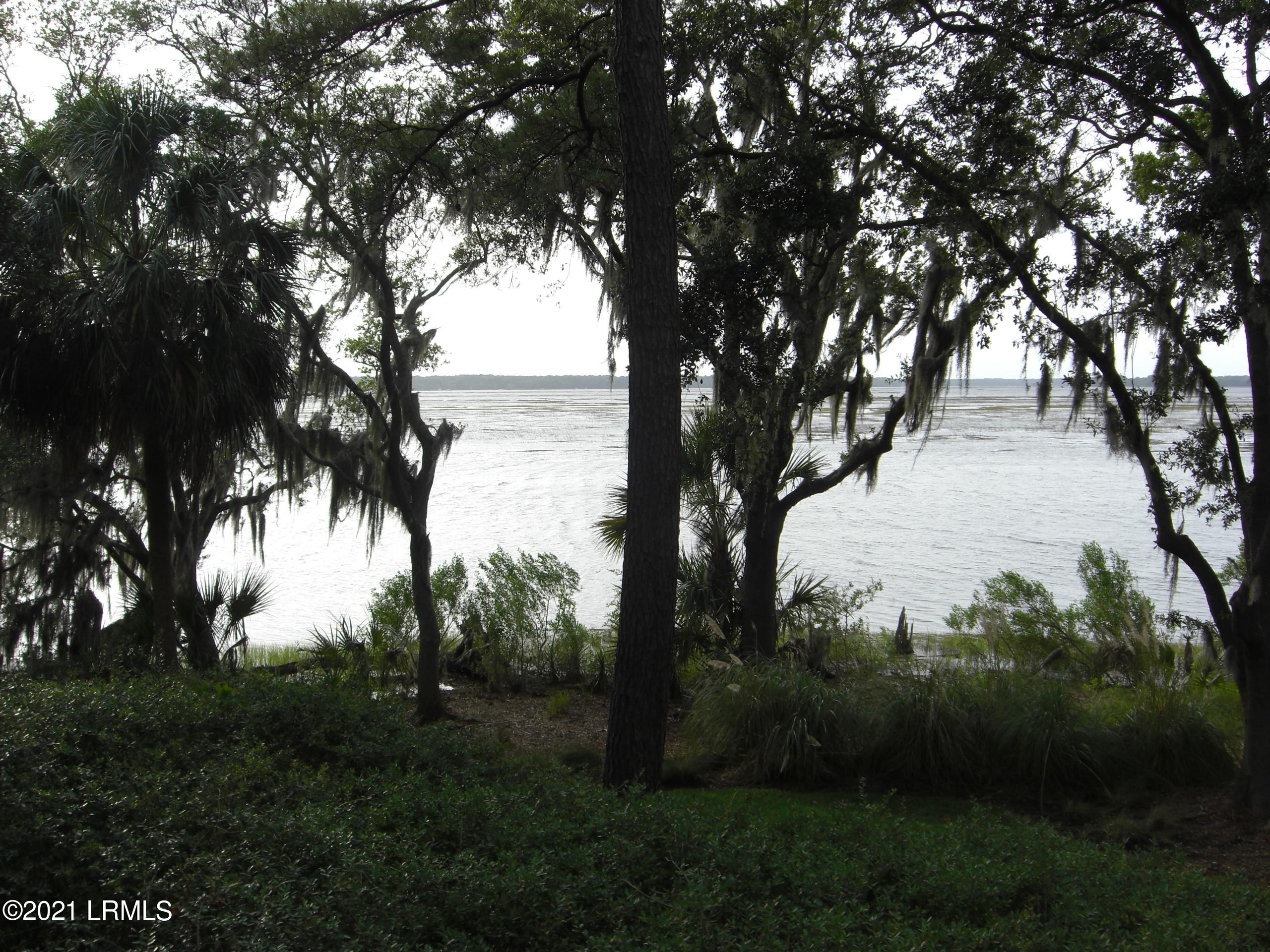 204 Cotton Dike Road Dataw Island, SC 29920 - Photo 11 of 22 High Tide Back of 204 CD_2007