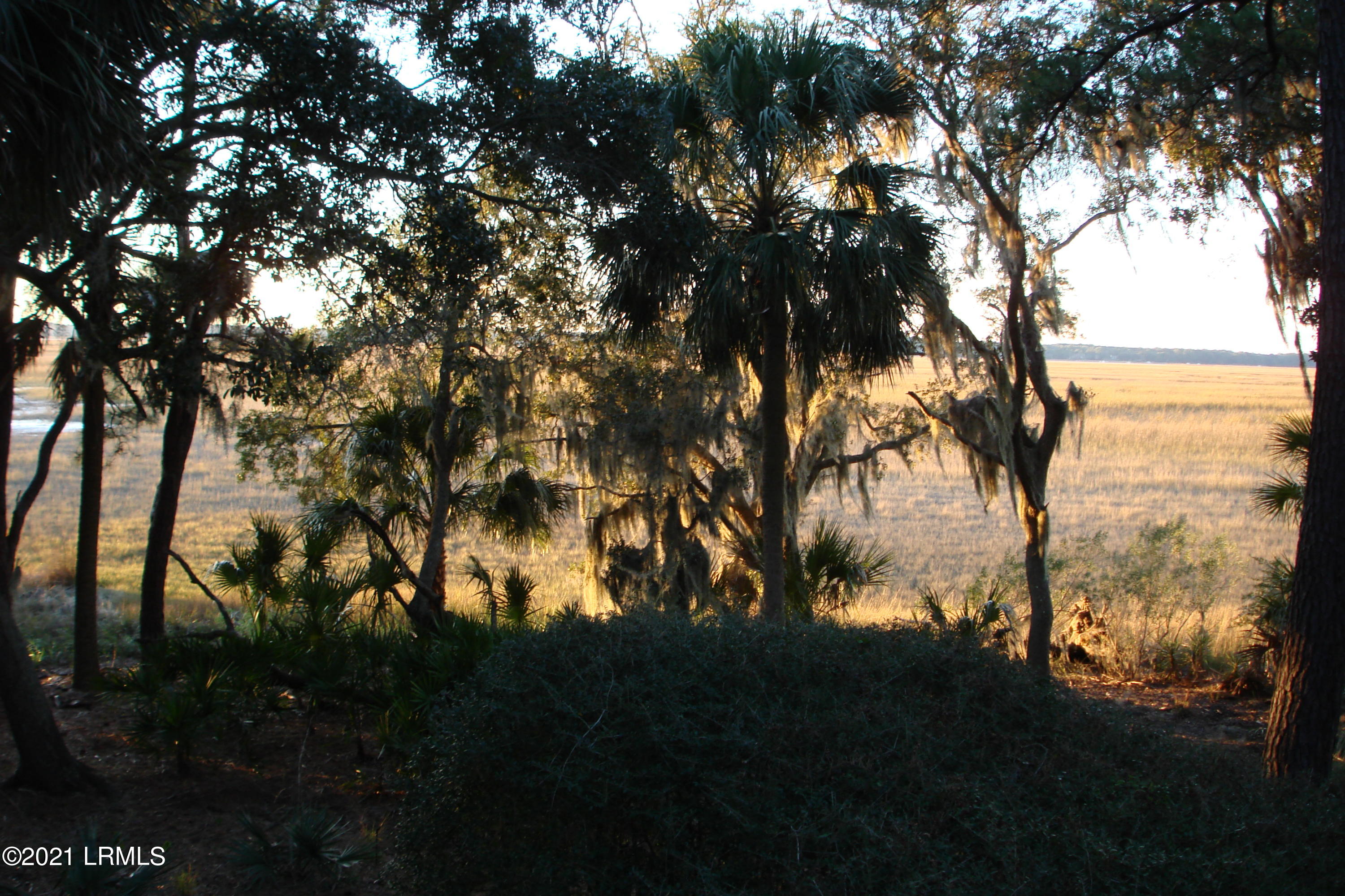 204 Cotton Dike Road Dataw Island, SC 29920 - Photo 10 of 22 Sunrise of 204 CD