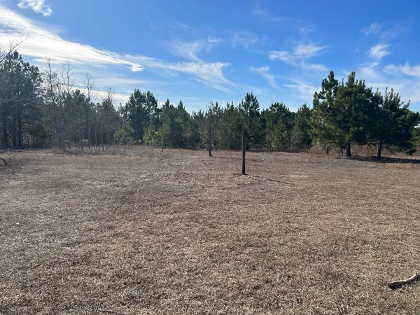 a view of outdoor space with field and trees