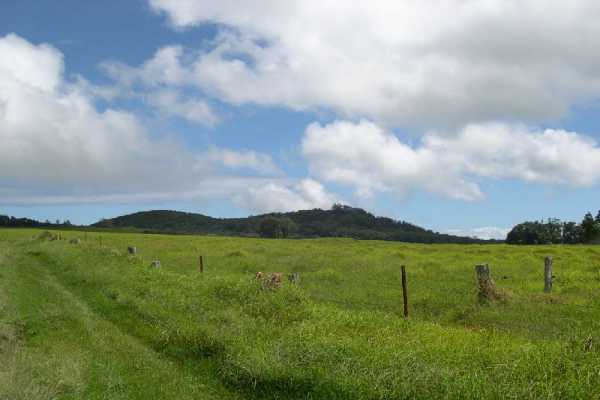 5 White Road Kamuela, HI 96743 - Photo 3 of 4 Gallery Image 3