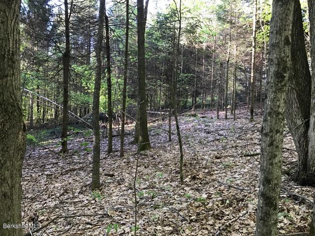 16 Rosenberg Road Lanesborough, MA 01237 - Photo 3 of 9 land