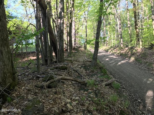16 Rosenberg Road Lanesborough, MA 01237 - Photo 4 of 9 land