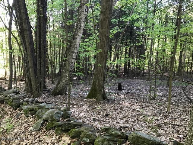 16 Rosenberg Road Lanesborough, MA 01237 - Photo 5 of 9 land