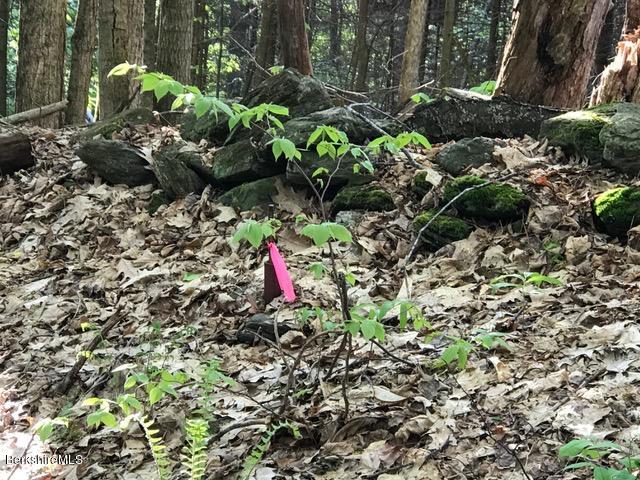 16 Rosenberg Road Lanesborough, MA 01237 - Photo 6 of 9 land