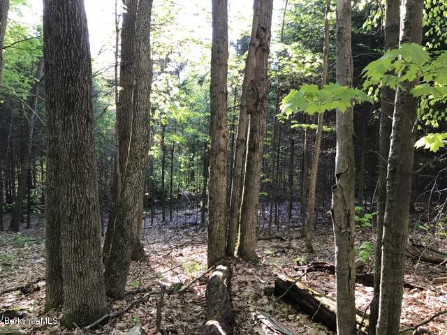 16 Rosenberg Road Lanesborough, MA 01237 - Photo 8 of 9 land