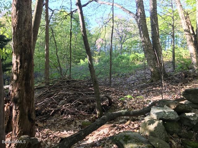 16 Rosenberg Road Lanesborough, MA 01237 - Photo 9 of 9 land