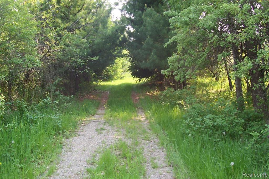 2450 Morris Road Lapeer, MI 48446 - Photo 5 of 5
