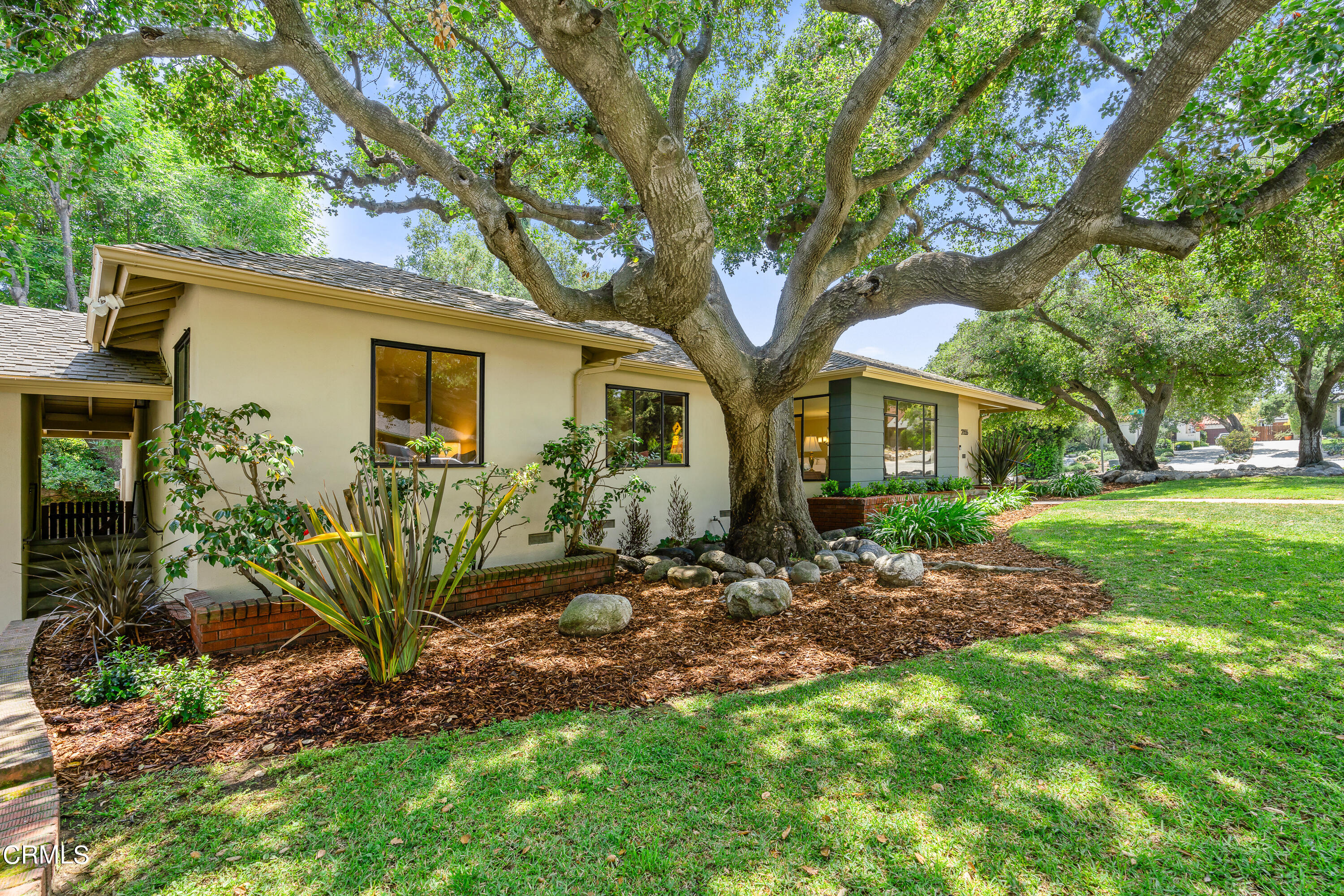 2155 Canyon Close Road Pasadena, CA 91107 - Photo 6 of 41 a view of a yard in front of a house with plants and large tree
