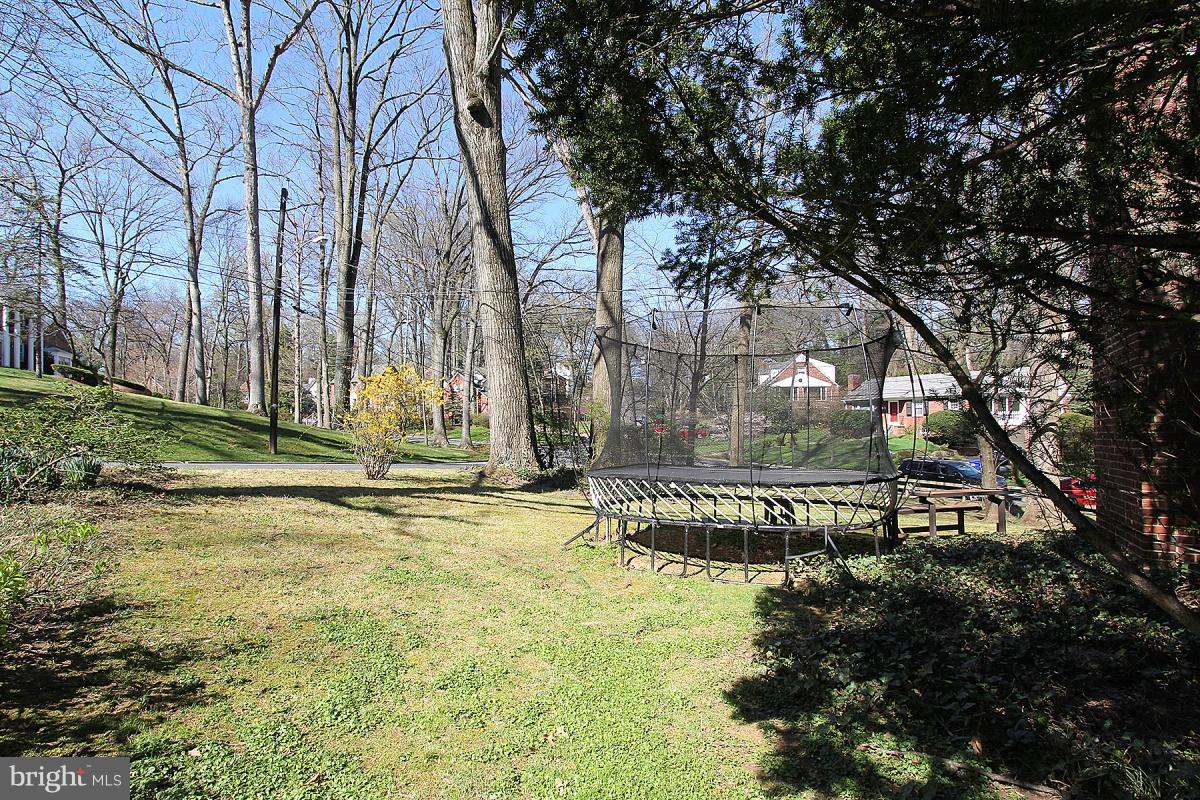 9401 Crosby Road Silver Spring, MD 20910 - Photo 24 of 30 Great Back Yard