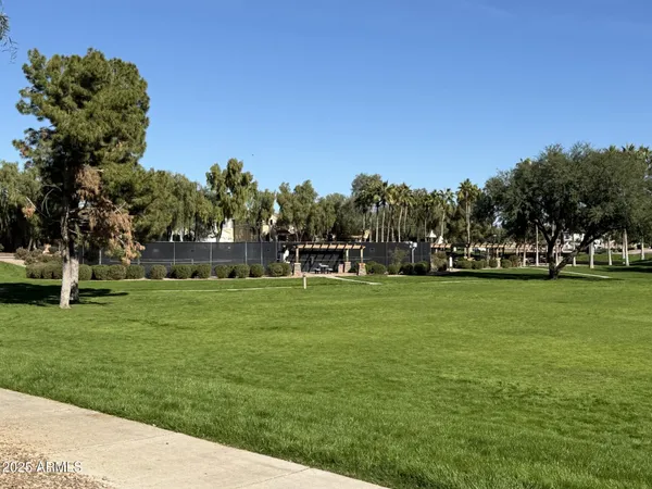 a view of a yard