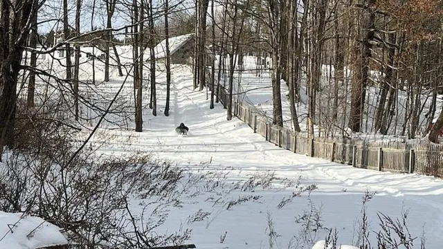 $369,000 | 2335 Main Street, Cavendish, VT 05142