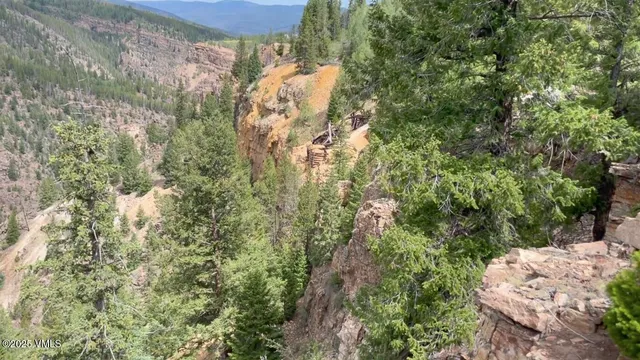 a view of a forest with a street
