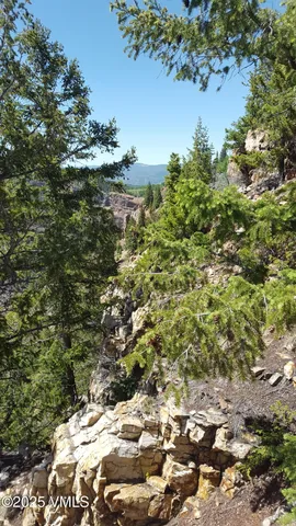 a view of a garden with a building in front of it