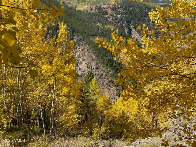 a view of a city with lush green forest