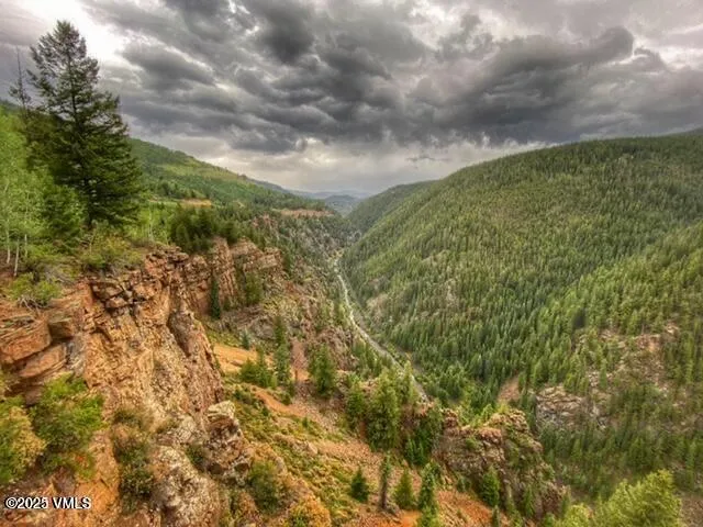 a view of a bunch of trees and bushes