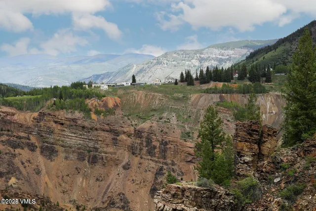 a view of a lush green forest