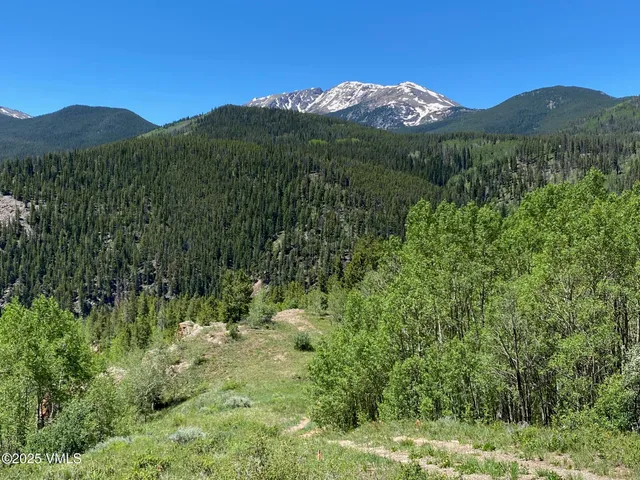 $1,925,000 | 8458 Hwy 24 Minturn Co 81645, Red Cliff, CO 81649