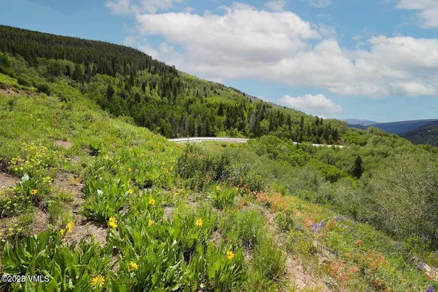$1,925,000 | 8458 Hwy 24 Minturn Co 81645, Red Cliff, CO 81649