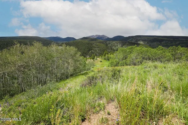 $1,925,000 | 8458 Hwy 24 Minturn Co 81645, Red Cliff, CO 81649