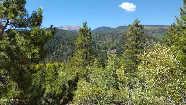 $1,925,000 | 8458 Hwy 24 Minturn Co 81645, Red Cliff, CO 81649