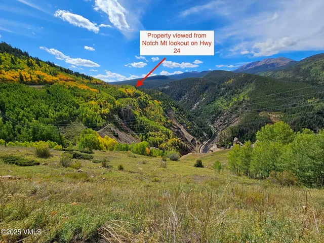 a view of a yard in front of a house