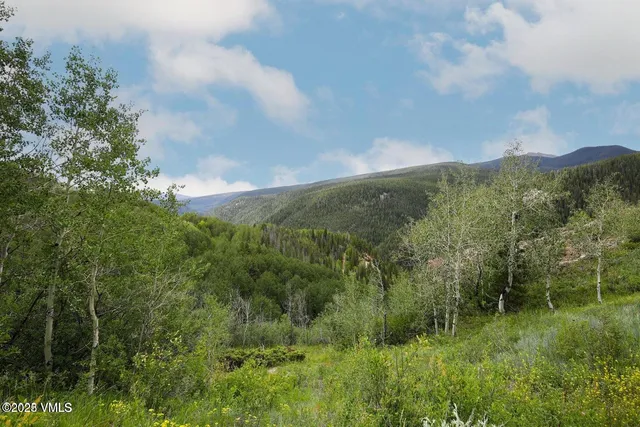 $1,925,000 | 8458 Hwy 24 Minturn Co 81645, Red Cliff, CO 81649