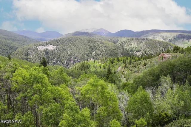 $1,925,000 | 8458 Hwy 24 Minturn Co 81645, Red Cliff, CO 81649