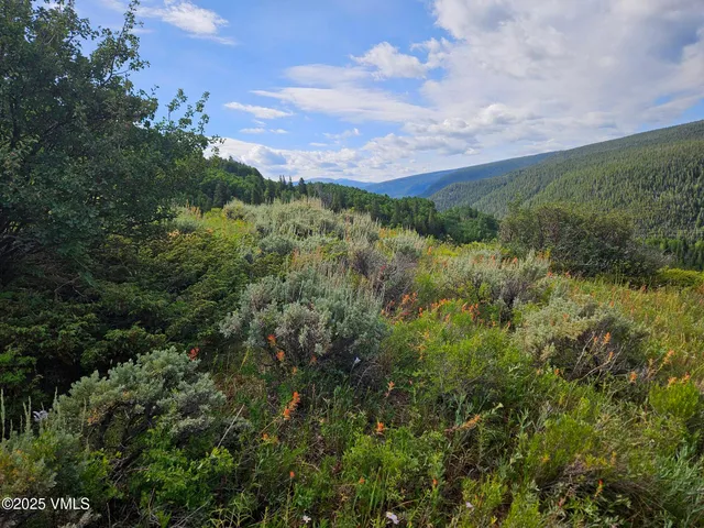 $1,925,000 | 8458 Hwy 24 Minturn Co 81645, Red Cliff, CO 81649