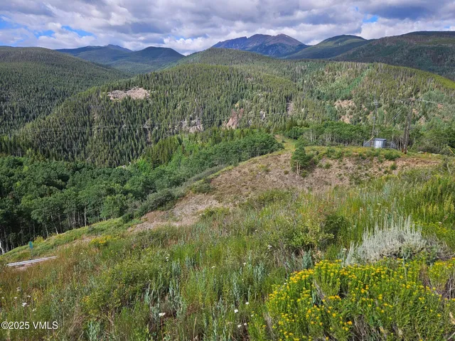 $1,925,000 | 8458 Hwy 24 Minturn Co 81645, Red Cliff, CO 81649