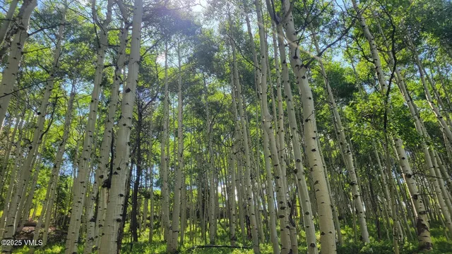 $1,925,000 | 8458 Hwy 24 Minturn Co 81645, Red Cliff, CO 81649