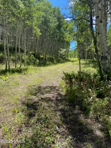 $1,925,000 | 8458 Hwy 24 Minturn Co 81645, Red Cliff, CO 81649