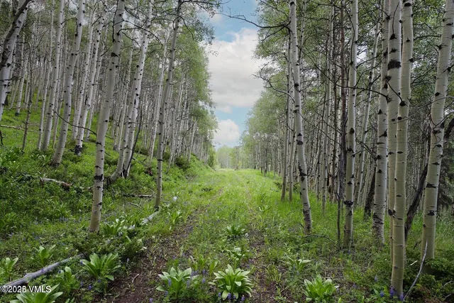 $1,925,000 | 8458 Hwy 24 Minturn Co 81645, Red Cliff, CO 81649