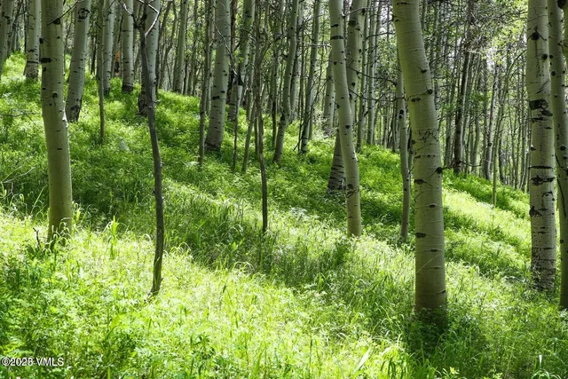 $1,925,000 | 8458 Hwy 24 Minturn Co 81645, Red Cliff, CO 81649