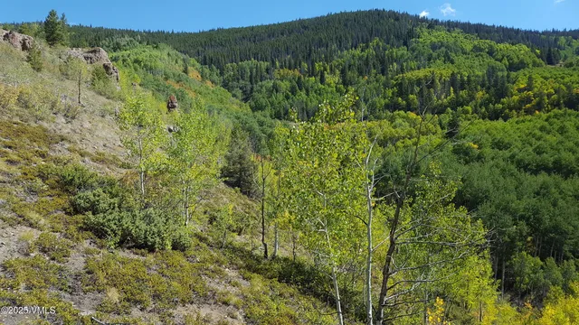 $1,925,000 | 8458 Hwy 24 Minturn Co 81645, Red Cliff, CO 81649