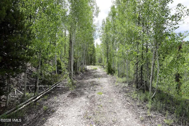 $1,925,000 | 8458 Hwy 24 Minturn Co 81645, Red Cliff, CO 81649