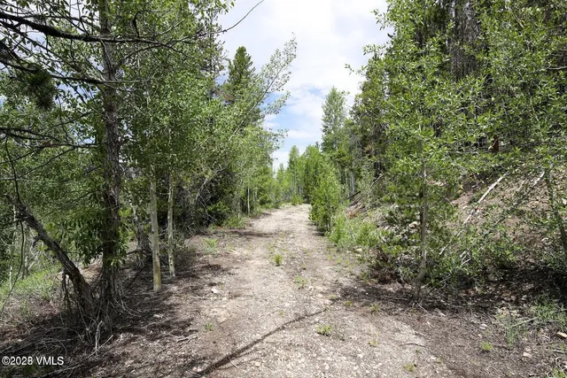 $1,925,000 | 8458 Hwy 24 Minturn Co 81645, Red Cliff, CO 81649