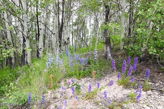 $1,925,000 | 8458 Hwy 24 Minturn Co 81645, Red Cliff, CO 81649