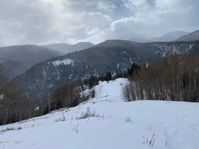 $1,925,000 | 8458 Hwy 24 Minturn Co 81645, Red Cliff, CO 81649