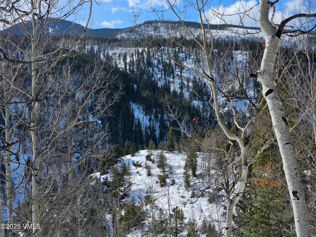 $1,925,000 | 8458 Hwy 24 Minturn Co 81645, Red Cliff, CO 81649