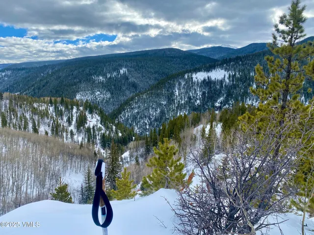 $1,925,000 | 8458 Hwy 24 Minturn Co 81645, Red Cliff, CO 81649