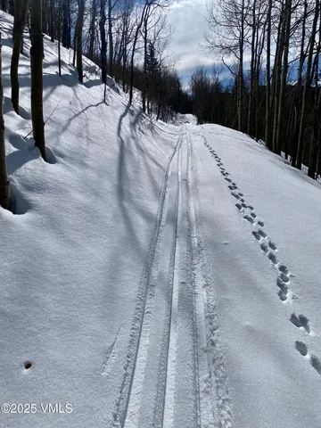 $1,925,000 | 8458 Hwy 24 Minturn Co 81645, Red Cliff, CO 81649