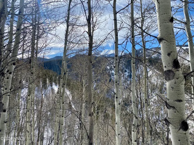 $1,925,000 | 8458 Hwy 24 Minturn Co 81645, Red Cliff, CO 81649