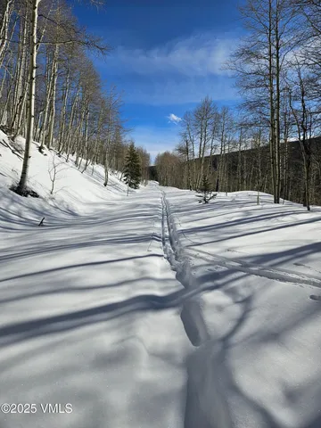 $1,925,000 | 8458 Hwy 24 Minturn Co 81645, Red Cliff, CO 81649