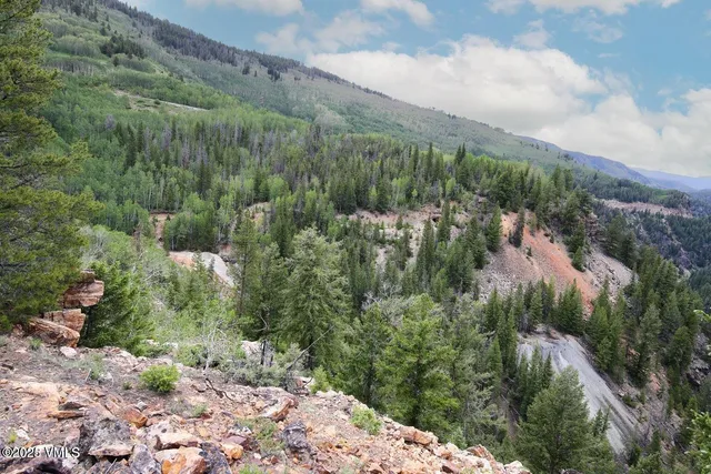 a view of a forest with a tree