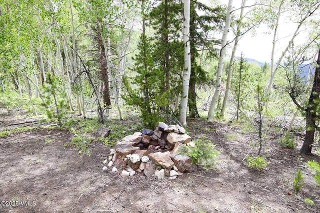 a view of a tree with a yard
