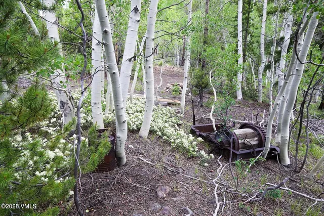 a view of city and mountain