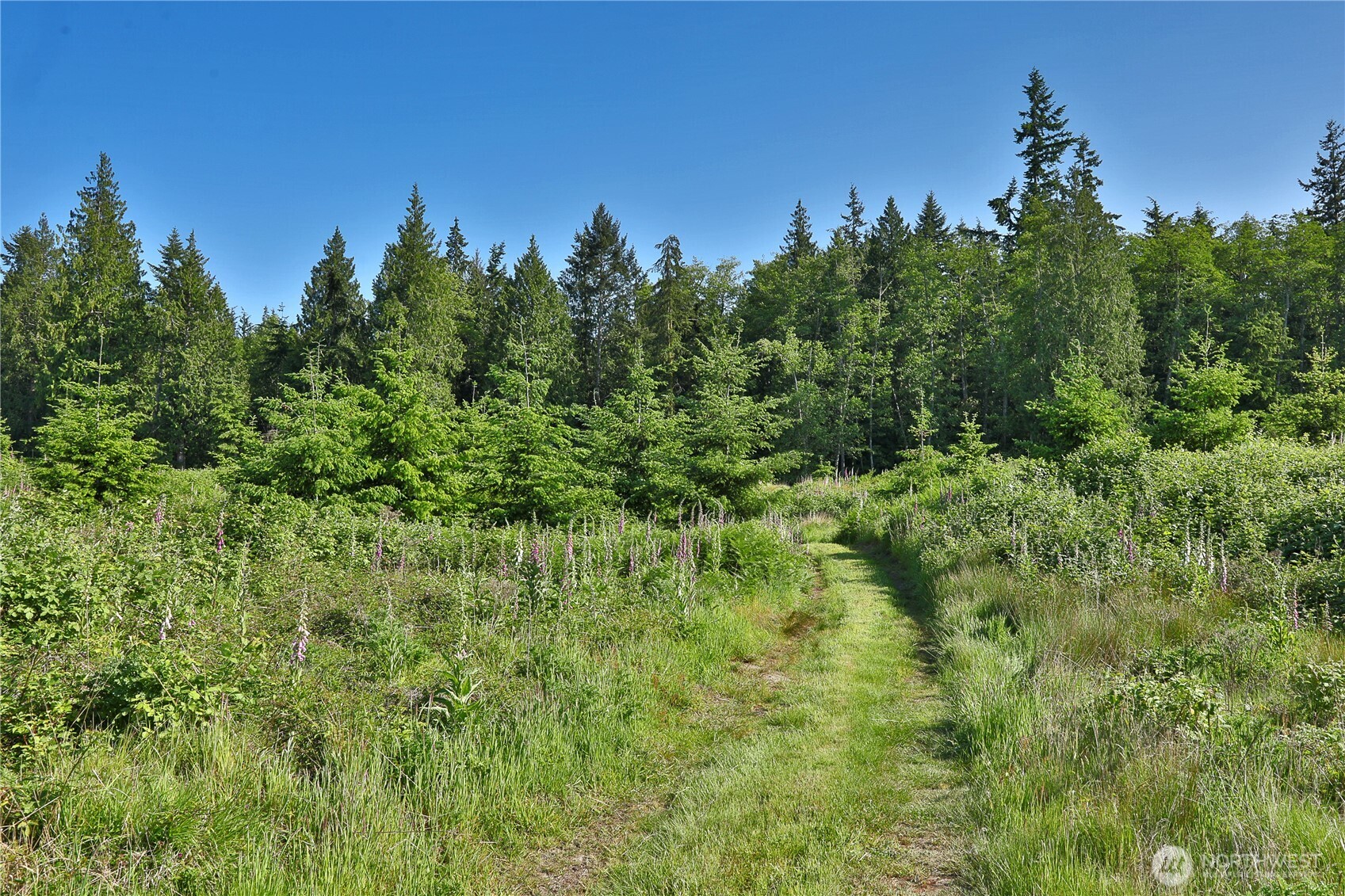 2062 East Goodell Road Freeland, WA 98249 - Photo 27 of 37