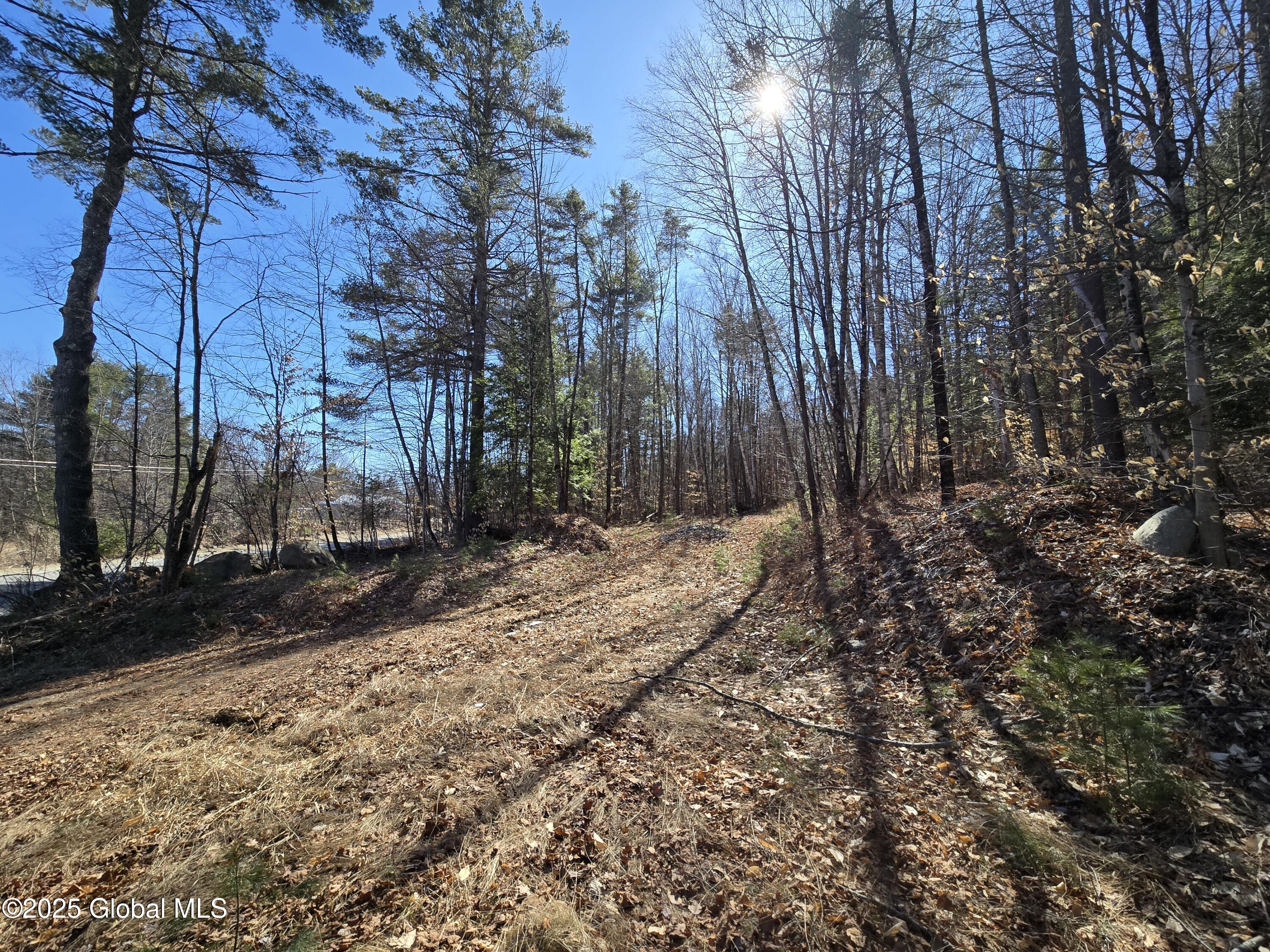 L11.231 Valentine Pond Road Pottersville, NY 12860 - Photo 1 of 22 20250323_145041
