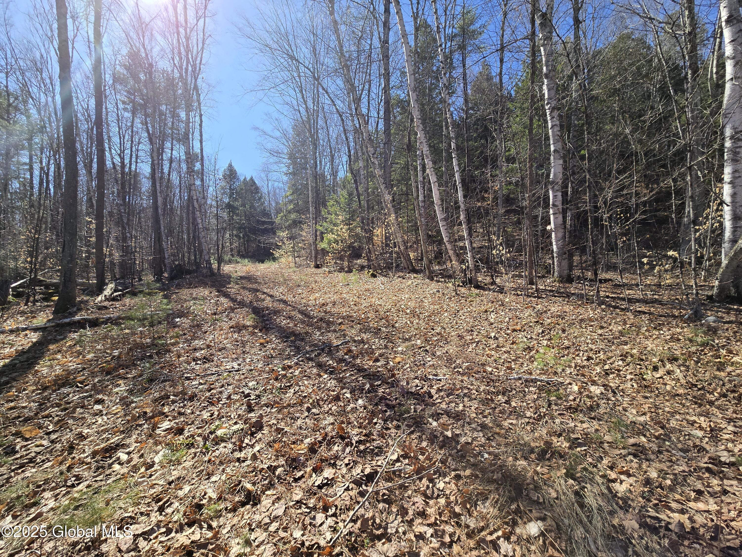 L11.231 Valentine Pond Road Pottersville, NY 12860 - Photo 11 of 22 20250323_145120